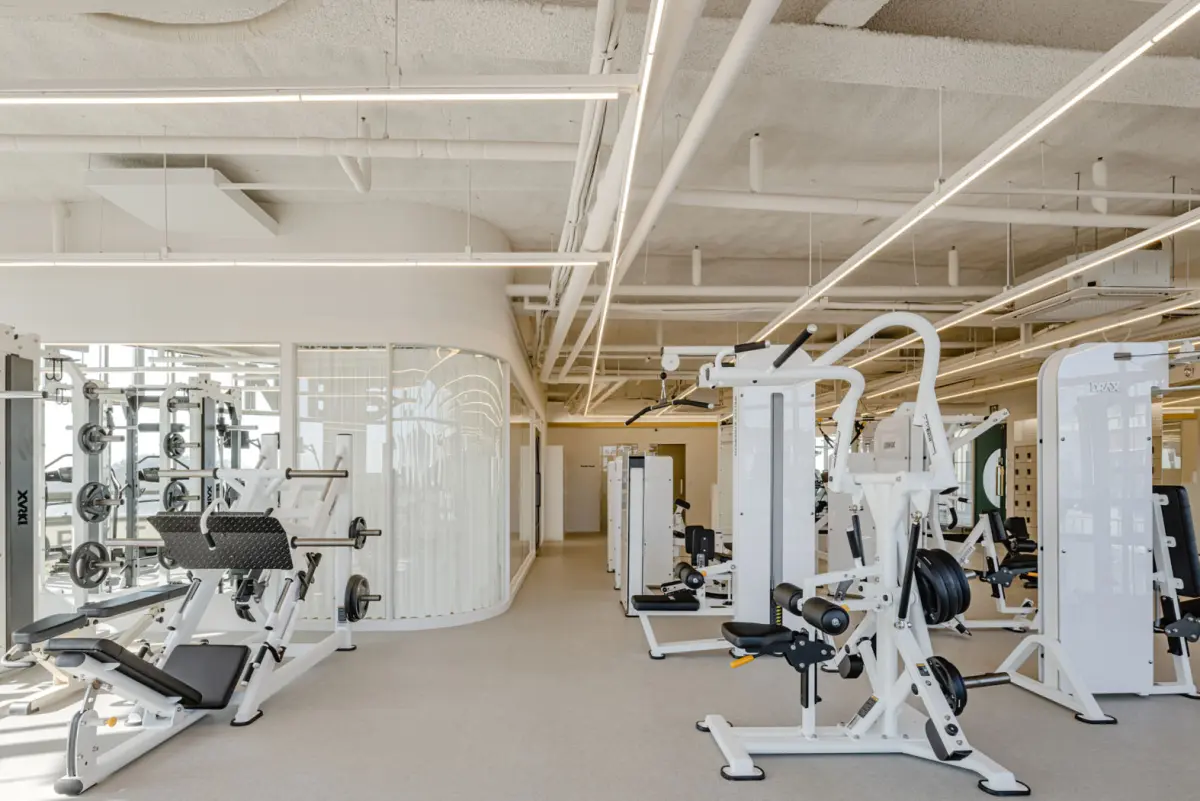 화이트 머신이 정렬된 미니멀 웨이트 트레이닝존